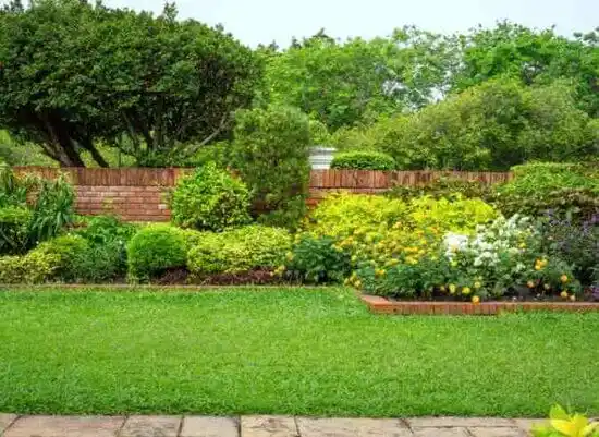 landscaping services St. Clair